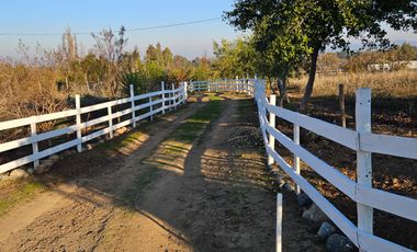 PARCELA CON CASA, 5000 MTS2, SAN JAVIER