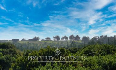 Pichilemu, Oportunidad Casa Nueva rodeada de bosque nativo