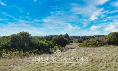 Pichilemu, Oportunidad Casa Nueva rodeada de bosque nativo