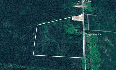 Terreno en Venta sobre Carretera Mérida-Cancún