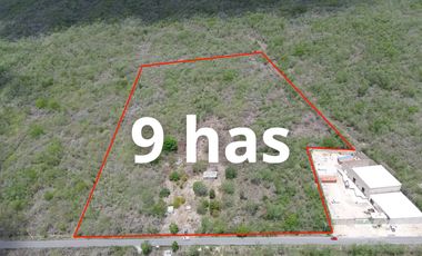 Terreno en Venta sobre Carretera Mérida-Cancún