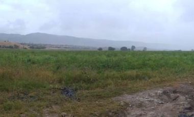 RANCHO GANADERO LISTO PARA SEGUIR PRODUCIENDO