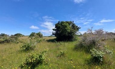 Parcela en venta en PUERTO MONTT