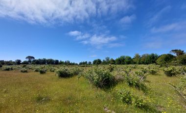 Parcela en venta en PUERTO MONTT