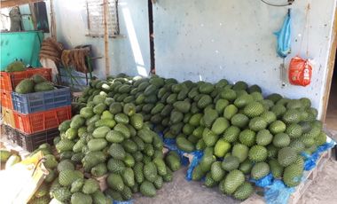 SE VENDE FINCA EN TORO VALLE