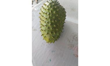 SE VENDE FINCA EN TORO VALLE