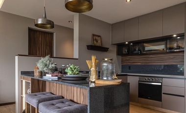 Increíbles departamentos de lujo - Modelo Roble