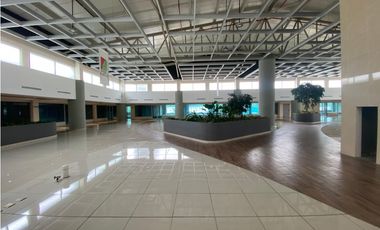 ALBROOK / LOCAL COMERCIAL / PASEO  ALBROOK / PLANTA BAJA / 266M