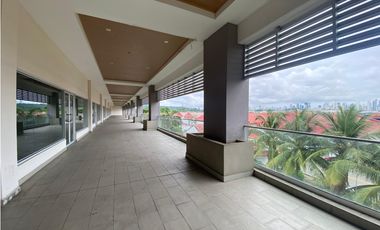 LOCAL COMERCIAL / PASEO ALBROOK / PLANTA ALTA / 317M / TERRAZA