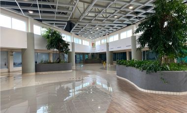 LOCAL COMERCIAL / PASEO ALBROOK / PLANTA ALTA / 317M / TERRAZA