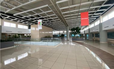 LOCAL COMERCIAL / PASEO ALBROOK / PLANTA ALTA / 317M / TERRAZA