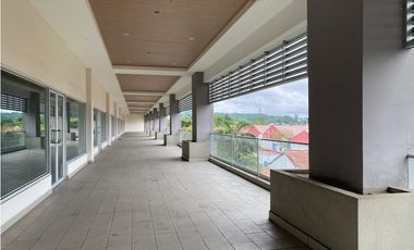 LOCAL COMERCIAL / PASEO ALBROOK / PLANTA ALTA / 317M / TERRAZA