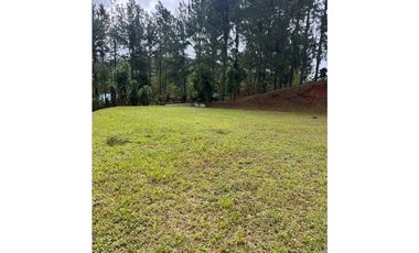 TERRENO / CERRO AZUL / 2679 M2 / CLIMA FRIO