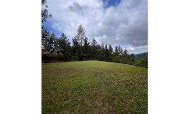 TERRENO / CERRO AZUL / 2679 M2 / CLIMA FRIO