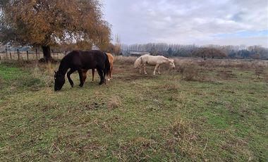 Parcela en Venta en Santa Amelia, Negrete