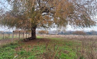 Parcela en Venta en Santa Amelia, Negrete