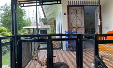 Villa cantik 4 kamar di kota bunga cipanas dekat kolam renang