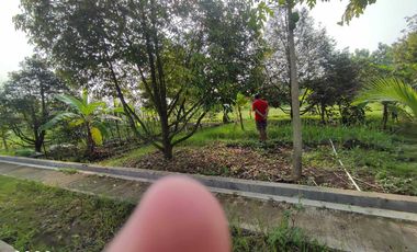 Kepepet Dijual Tanah KAvling Siap Bangun Kalimanah Purbalingga