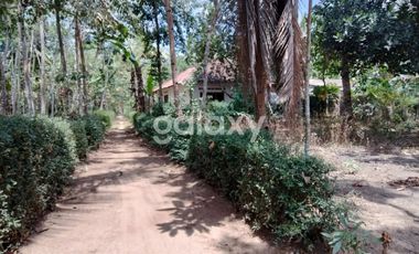 DIJUAL TANAH LUAS DEKAT BANDARA NYIA - WT