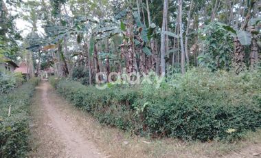 DIJUAL TANAH LUAS DEKAT BANDARA NYIA - WT