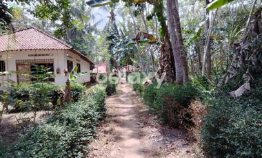 DIJUAL TANAH LUAS DEKAT BANDARA NYIA - WT