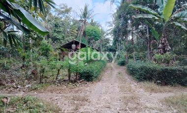 DIJUAL TANAH LUAS DEKAT BANDARA NYIA - WT