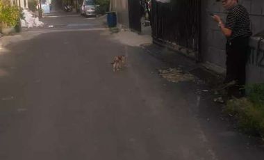Disewakan Rumah Dua Lantai di Pondok Bambu Duren Sawit