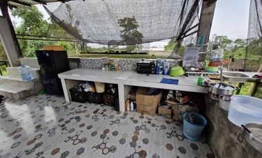 TANAH MURAH BONUS RUMAH DAN IZIN USAHA DI KINTAMANI