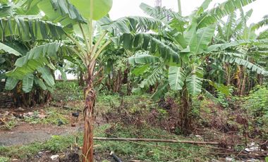 Gudang Murah Strategis Dekat Ke Pintu Tol Bekasi Timur