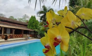 Dijual Villa + Restaurant Nuansa Pedesaan dekat Wisata New LS KSBN