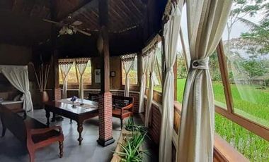 Dijual Villa + Restaurant Nuansa Pedesaan dekat Wisata New LS KSBN