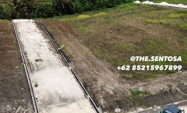 Tanah Pantai CINTA Kedungu BALI