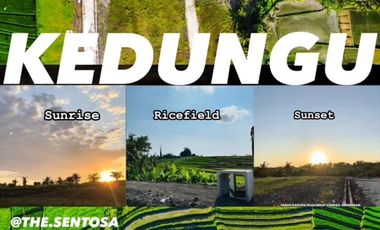 Tanah Pantai CINTA Kedungu BALI