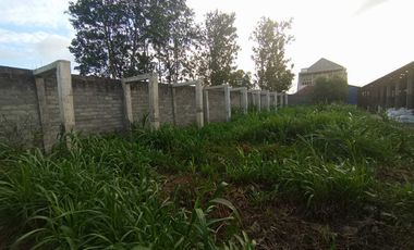 DiJual Rumah Mewah Di Blitar Plus Furniture,Kandang Kambing dan Lahan