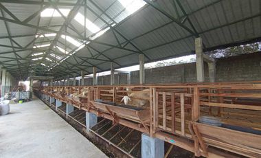 DiJual Rumah Mewah Di Blitar Plus Furniture,Kandang Kambing dan Lahan