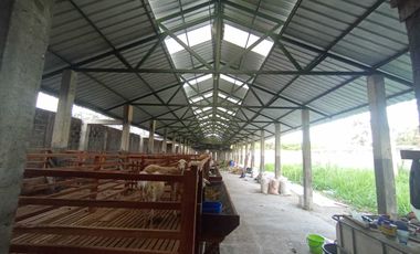 DiJual Rumah Mewah Di Blitar Plus Furniture,Kandang Kambing dan Lahan