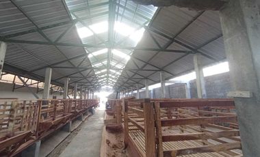 DiJual Rumah Mewah Di Blitar Plus Furniture,Kandang Kambing dan Lahan