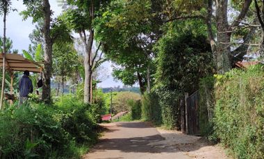 Tanah Dago Giri Harga Ekonomis View Cafe Lereng Anteng Masih Bisa Nego