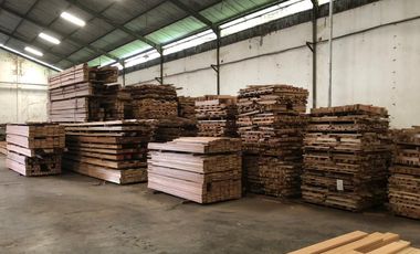 Raya babat jombang lamongan