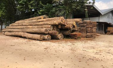 Raya babat jombang lamongan