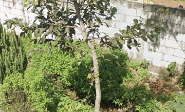 Jl. Airlangga tamiajeng  trawas mojokerto