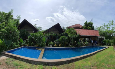 VILLA FULLY OPERATED FREEHOLD IN LOVINA BULELENG