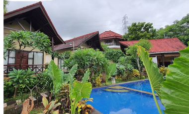 VILLA FULLY OPERATED FREEHOLD IN LOVINA BULELENG