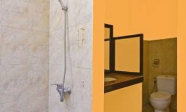 VILLA FULLY OPERATED FREEHOLD IN LOVINA BULELENG