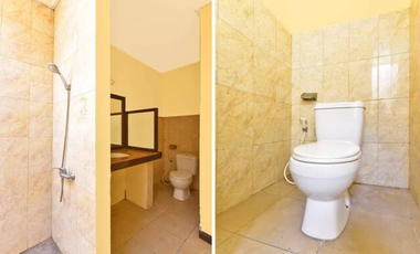 VILLA FULLY OPERATED FREEHOLD IN LOVINA BULELENG