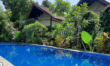 VILLA FULLY OPERATED FREEHOLD IN LOVINA BULELENG
