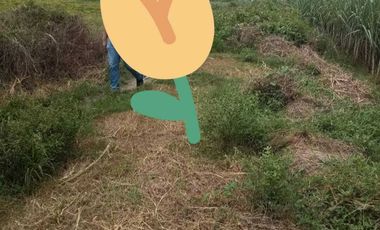 Tanah industri tanjangrono mojokerto