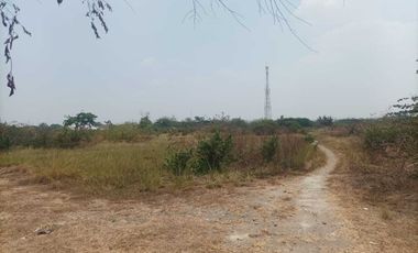 Tanah industri di nol raya Pucuk Lamongan