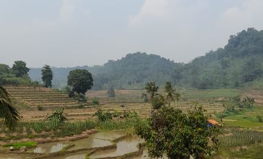 Tanah Kavling Murah Dekat Wisata di Nuansa Alam Agroeduwisata