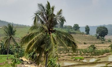Tanah Kavling Murah Dekat Wisata di Nuansa Alam Agroeduwisata